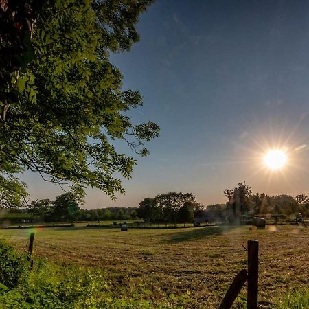 B&B De Bloesem Hoeselt Dış mekan fotoğraf