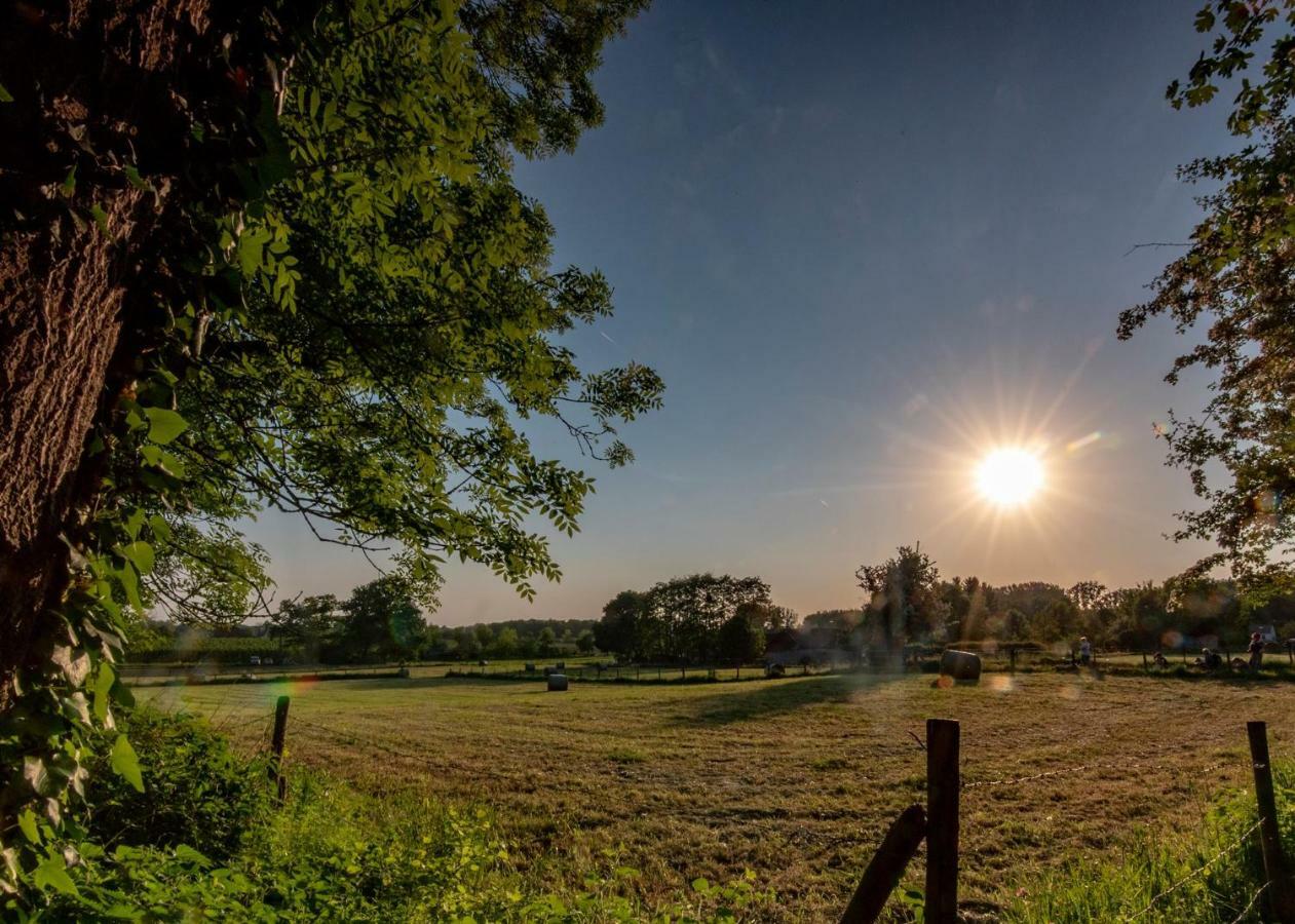 B&B De Bloesem Hoeselt Dış mekan fotoğraf